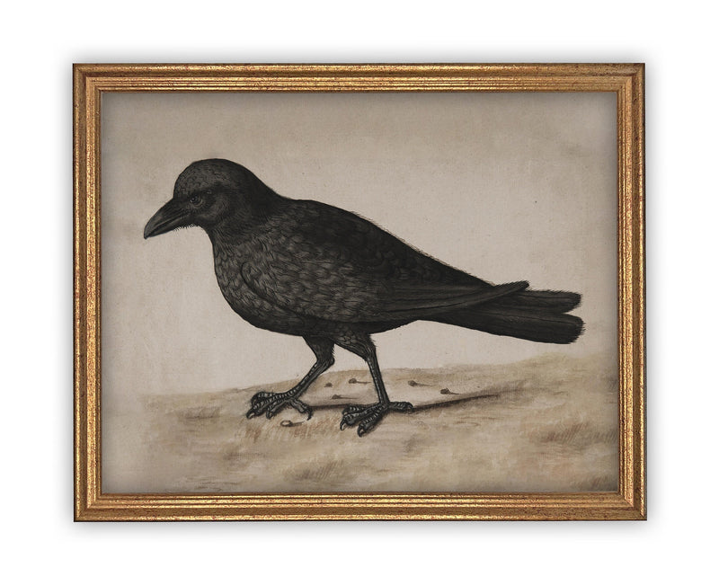 Vintage Framed Canvas Raven Art #H-102