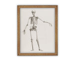 READY to SHIP 11x14 Vintage Framed Canvas Art // Vintage Halloween Painting // Skeleton Sketch Wall Art // Halloween print //#H-105