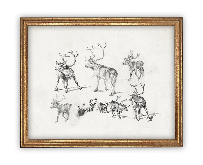 Vintage Framed Canvas Art // Framed Vintage Christmas Print // Vintage Painting // Framed Reindeer sketch // Farmhouse print //#CH-318