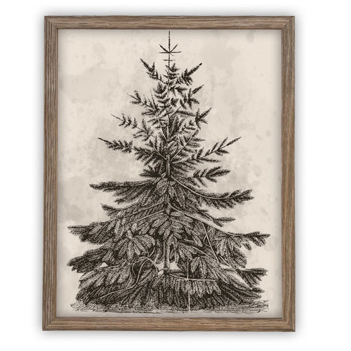 READY to SHIP 8x10 Vintage Framed Canvas Art // Framed Vintage Christmas Print // Christmas Tree Sketch // Farmhouse print //#CH-306