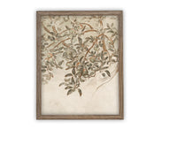 READY to SHIP 16X20 Vintage Framed Canvas Art #BOT-146