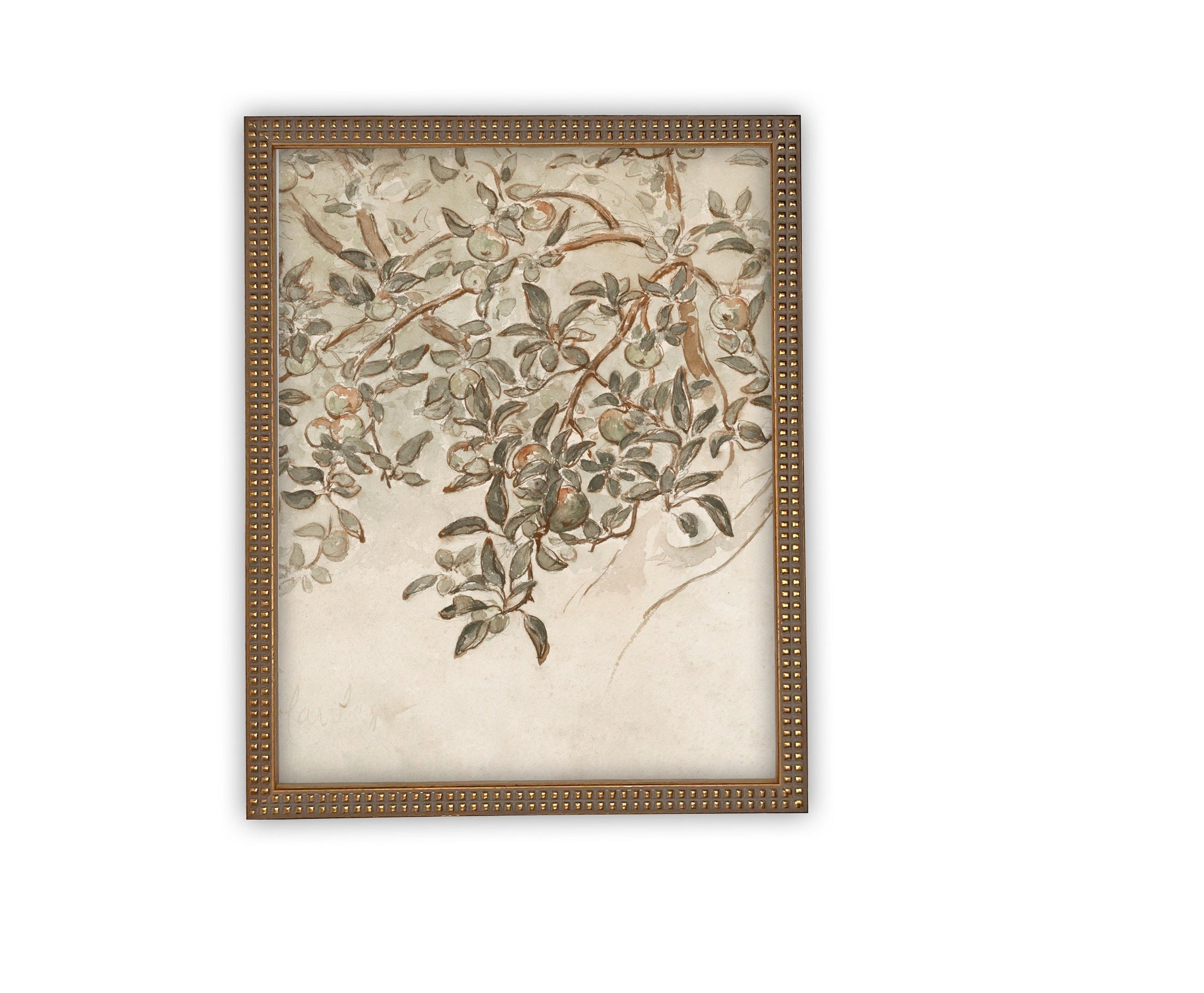 READY to SHIP 16X20 Vintage Framed Canvas Art #BOT-146