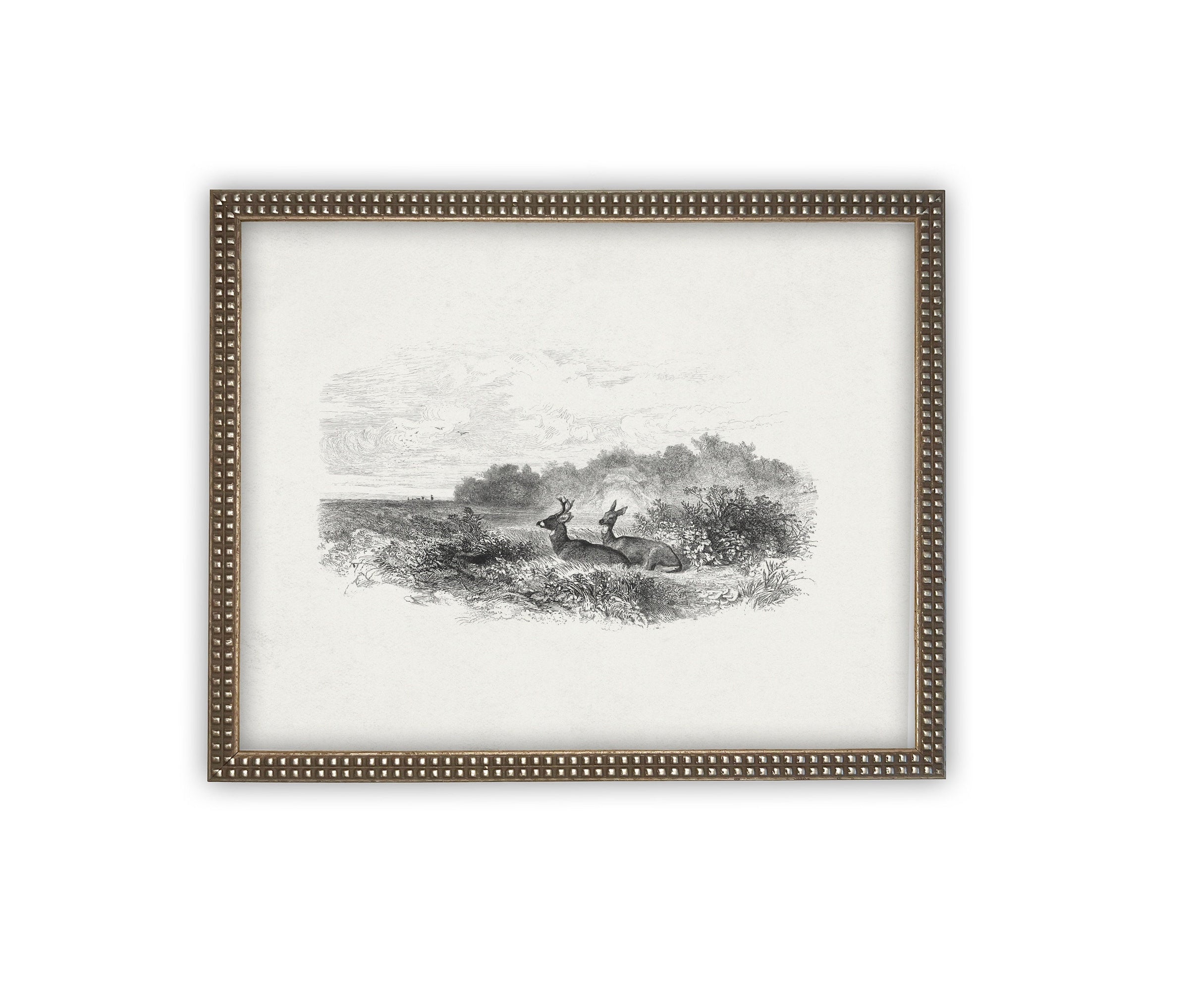 READY to SHIP 11X14 Vintage Framed Canvas Art #LAN-226