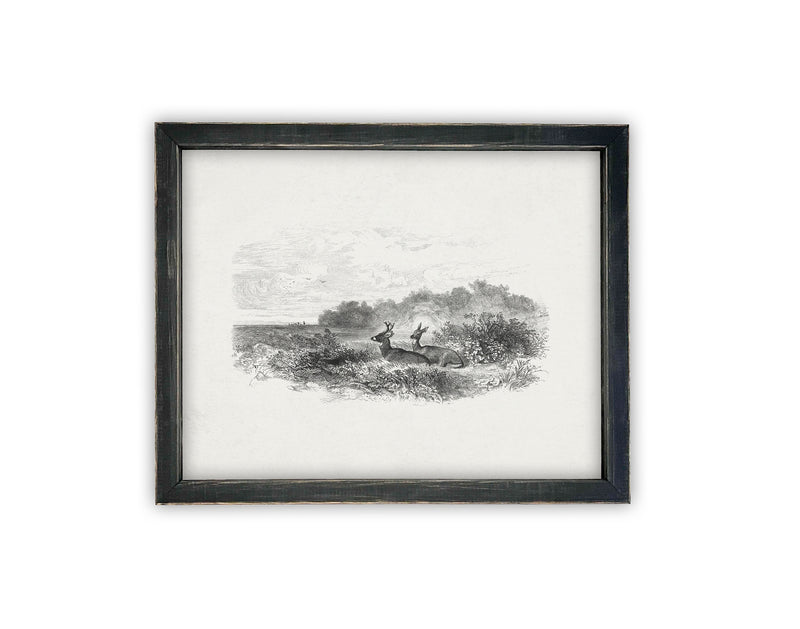 Vintage Framed Canvas Art // Framed Vintage Print // Vintage Painting // Black White Tree Sketch with Deer // Minimalist Art //#LAN-226
