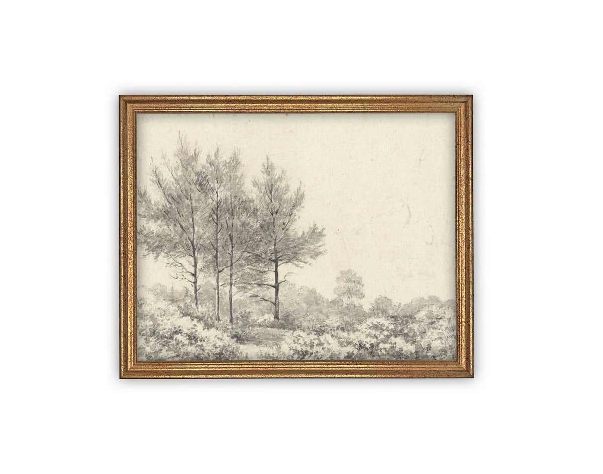 READY to SHIP 11X14 Vintage Framed Canvas Art #LAN-228