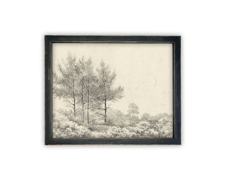 READY to SHIP 16X20 Vintage Framed Canvas Art // Framed Vintage Print // Black White Tree Sketch // Minimalist Art //#LAN-228