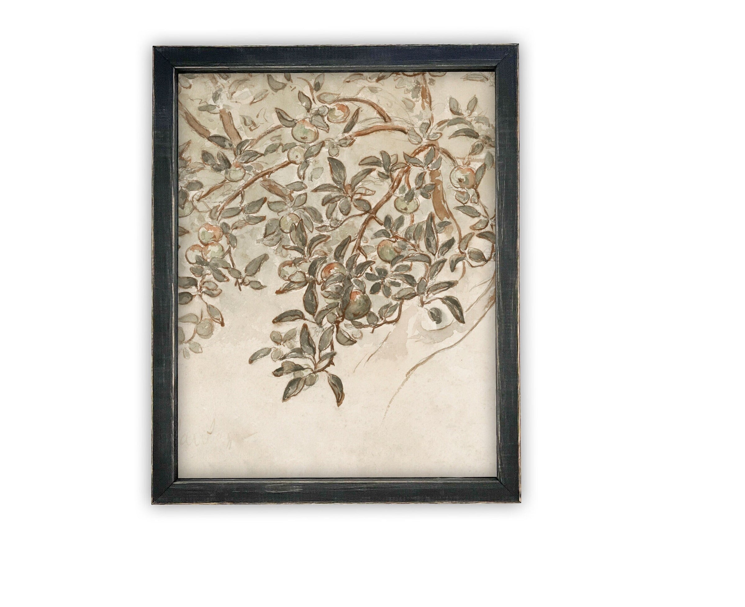 READY to SHIP 16X20 Vintage Framed Canvas Art #BOT-146