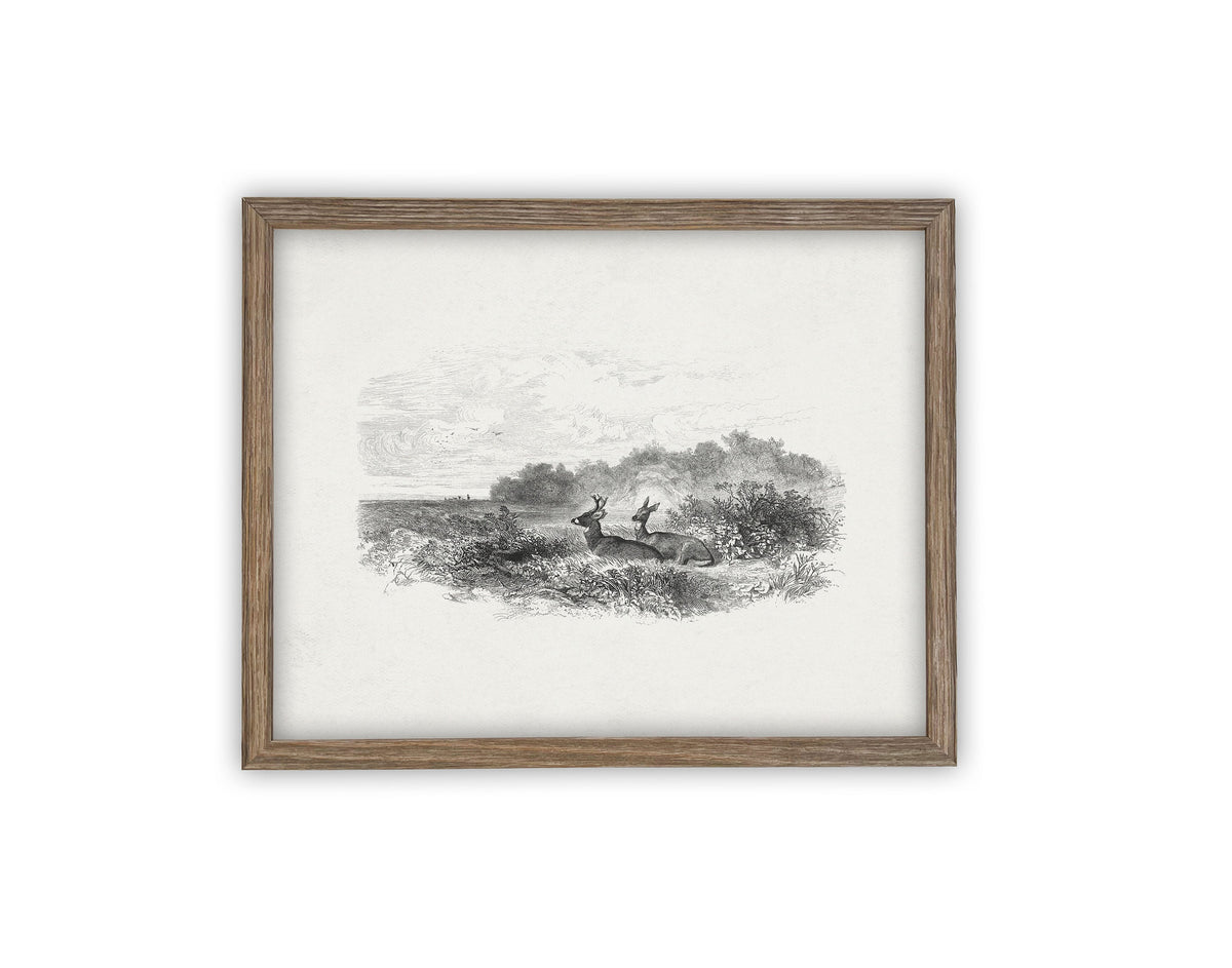 READY to SHIP 11X14 Vintage Framed Canvas Art #LAN-226