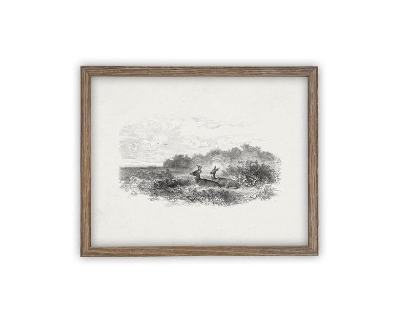 READY to SHIP 11X14 Vintage Framed Canvas Art #LAN-226