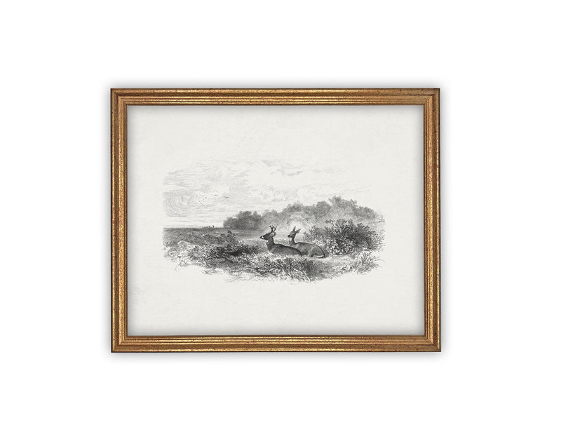 READY to SHIP 11X14 Vintage Framed Canvas Art #LAN-226