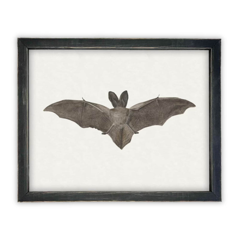 Vintage Framed Canvas Art Bat #H-101