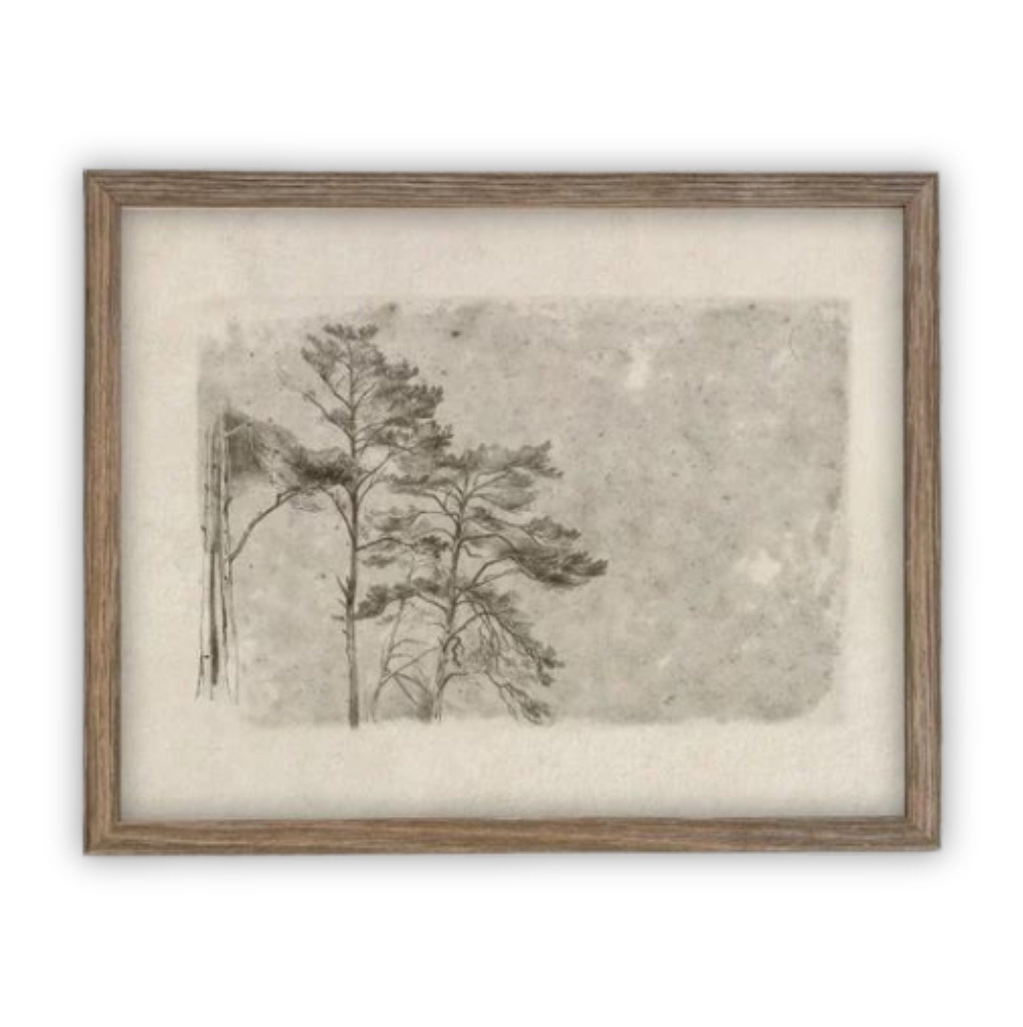 Vintage Framed Canvas Art #BOT-145 – Linen + Cloth