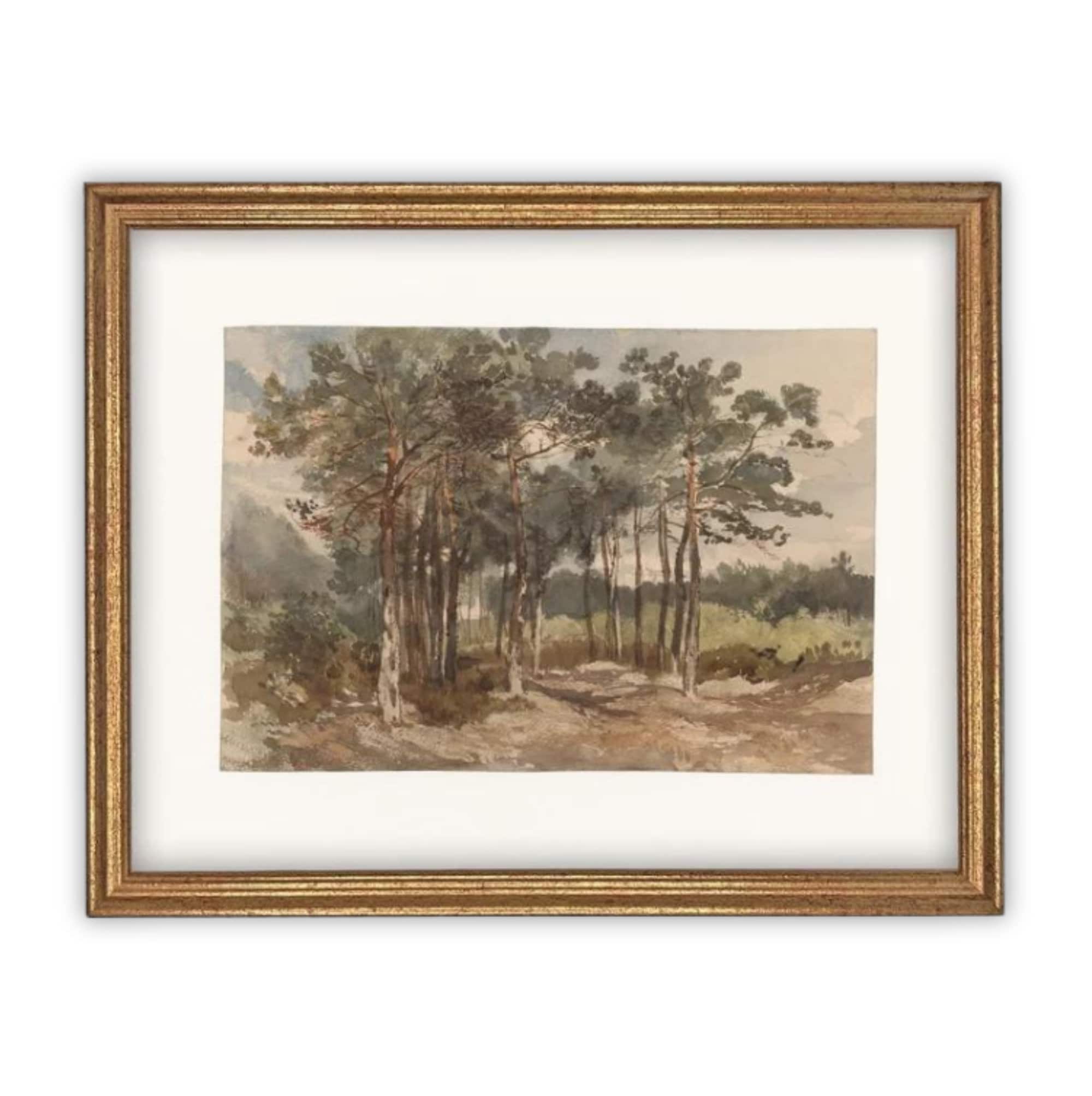 Framed Country Landscape #LAN-114