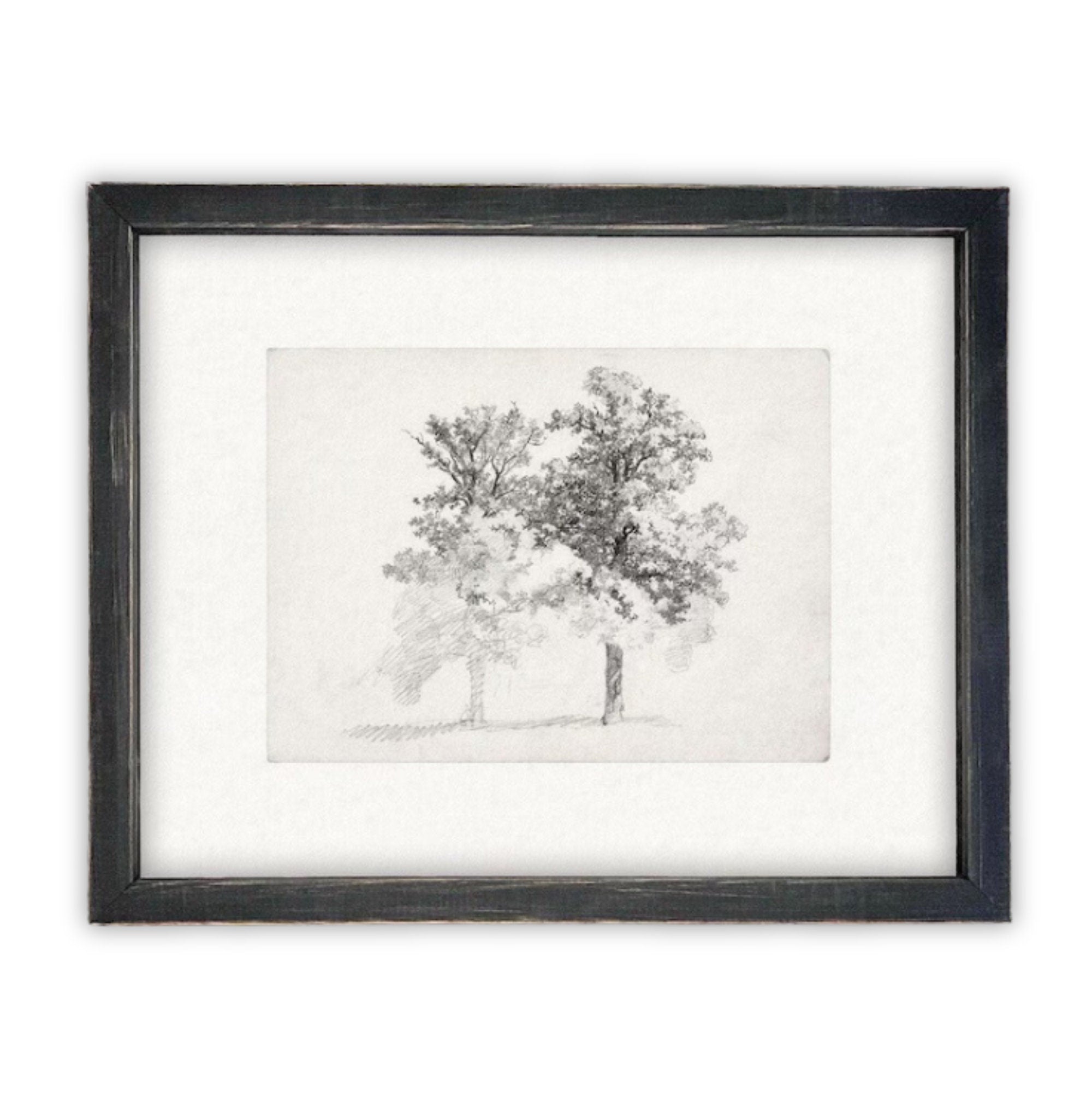 READY TO SHIP 16x20 Framed Canvas Print: Black and White Tree Sketch