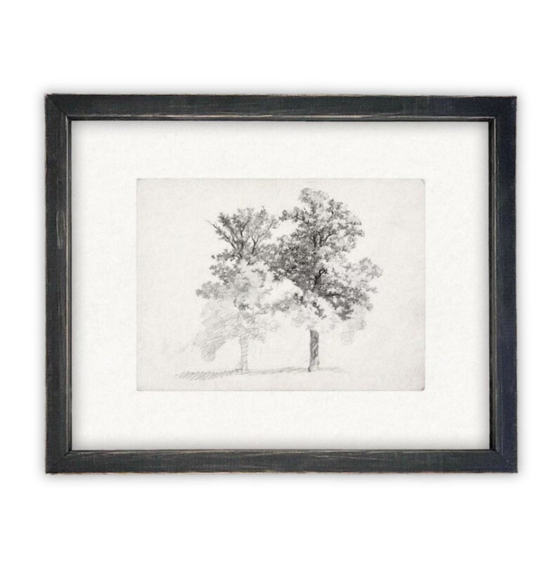 READY TO SHIP 16x20 Framed Canvas Print: Black and White Tree Sketch