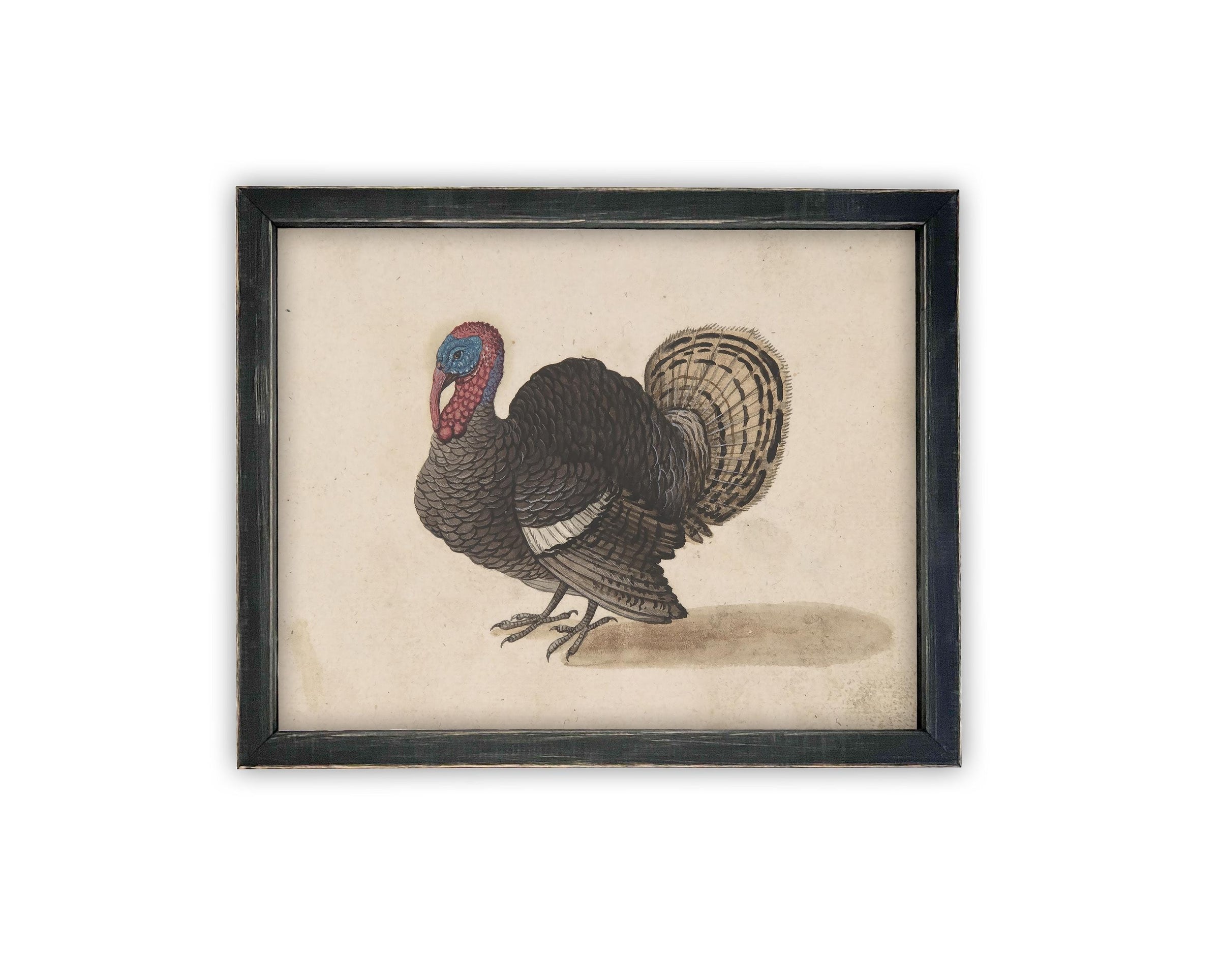 Vintage Framed Canvas Art // Framed Vintage Print // Vintage Painting // Turkey Art // Kids Room or Nursery print //#A-172