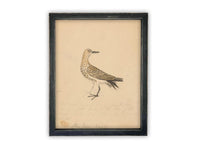 Vintage Framed Canvas Art // Framed Vintage Print // Vintage Painting // Bird Art // Girls Room or Nursery print //#A-182