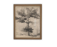 READY TO SHIP 11X14 Framed Canvas Print: Botanical Tree Sketch, Farmhouse Art