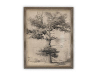 READY TO SHIP 11X14 Framed Canvas Print: Botanical Tree Sketch, Farmhouse Art