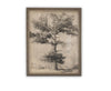 READY to SHIP 11X14 Vintage Framed Canvas Art // Framed Vintage Print // Vintage Painting // Botanical Sketch // Farmhouse //#BOT-158