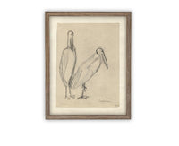 READY TO SHIP 24X36 Vintage Birds Sketch Framed Canvas Art: Nursery Print