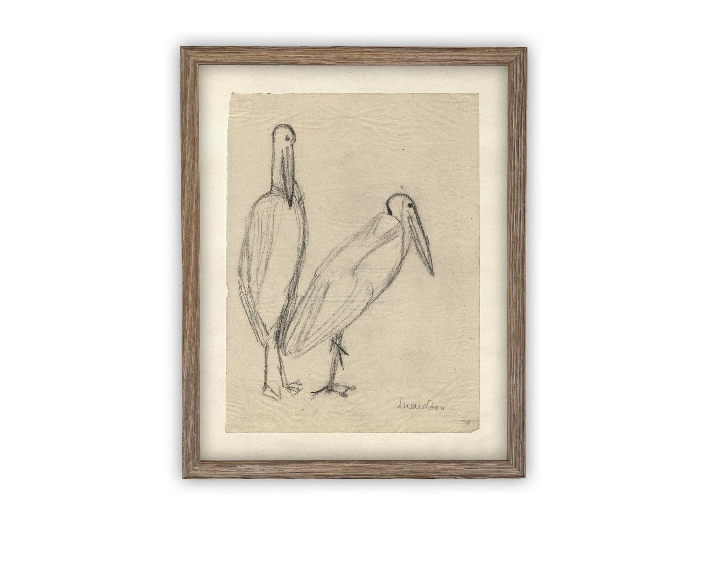 READY TO SHIP 24X36 Vintage Birds Sketch Framed Canvas Art: Nursery Print