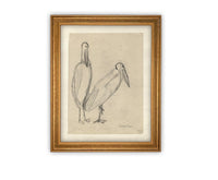 READY TO SHIP 24X36 Vintage Birds Sketch Framed Canvas Art: Nursery Print