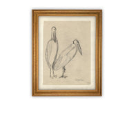 READY TO SHIP 24X36 Vintage Birds Sketch Framed Canvas Art: Nursery Print