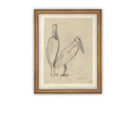 READY TO SHIP 24X36 Vintage Birds Sketch Framed Canvas Art: Nursery Print