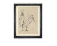 READY TO SHIP 8X10 Vintage Birds Sketch Framed Canvas Art: Nursery Print
