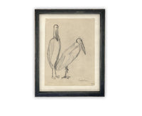 READY TO SHIP 24X36 Vintage Birds Sketch Framed Canvas Art: Nursery Print