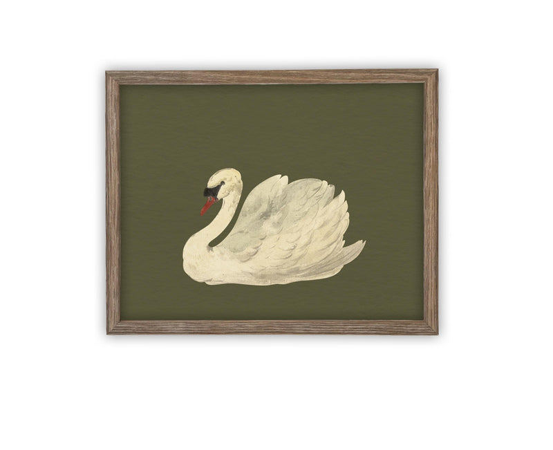 Vintage Framed Canvas Art // Framed Vintage Print // Vintage Painting // White Swan Art // Girls Room or Nursery print //#A-180