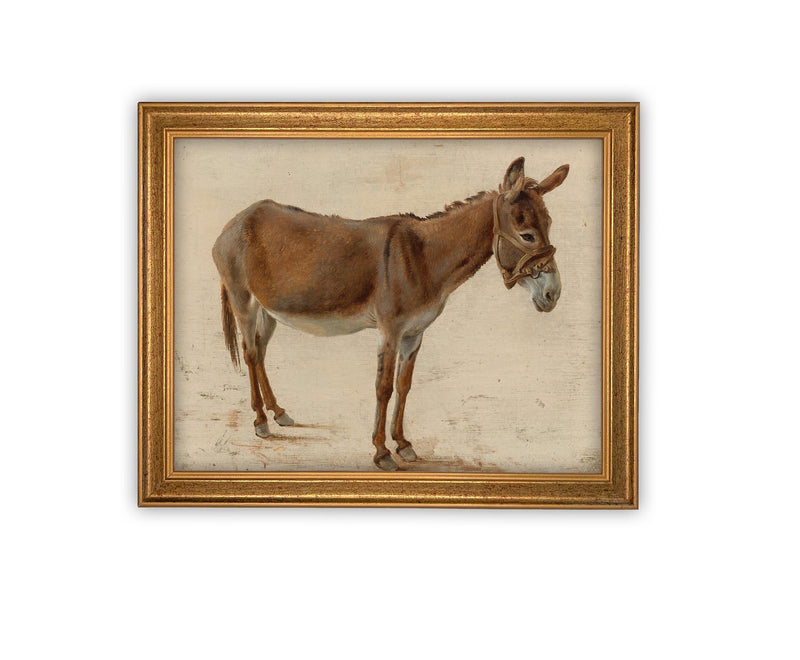 Vintage Framed Canvas Art // Framed Vintage Print // Vintage Painting // Donkey Equestrian Art // Farmhouse print //#A-179