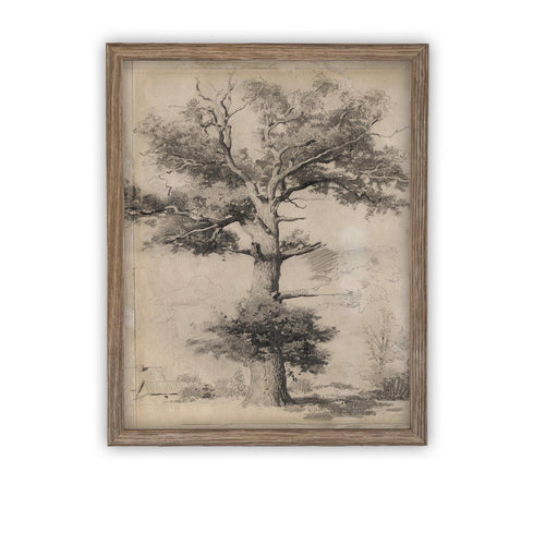 READY to SHIP 11X14 Vintage Framed Canvas Art // Framed Vintage Print // Vintage Painting // Botanical Sketch // Farmhouse //#BOT-158