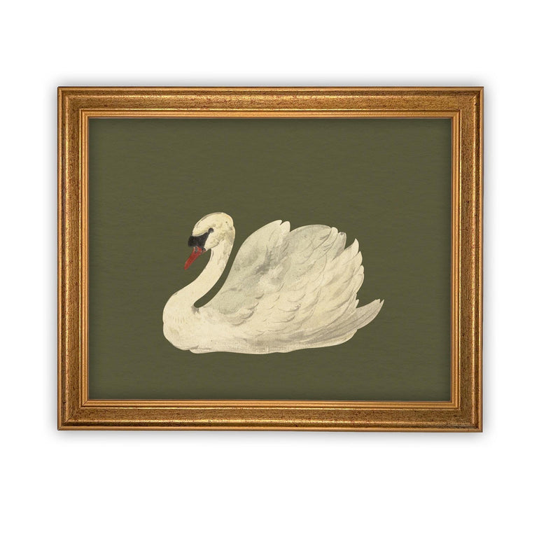 Vintage Framed Canvas Art // Framed Vintage Print // Vintage Painting // White Swan Art // Girls Room or Nursery print //#A-180