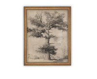 READY TO SHIP 11X14 Framed Canvas Print: Botanical Tree Sketch, Farmhouse Art