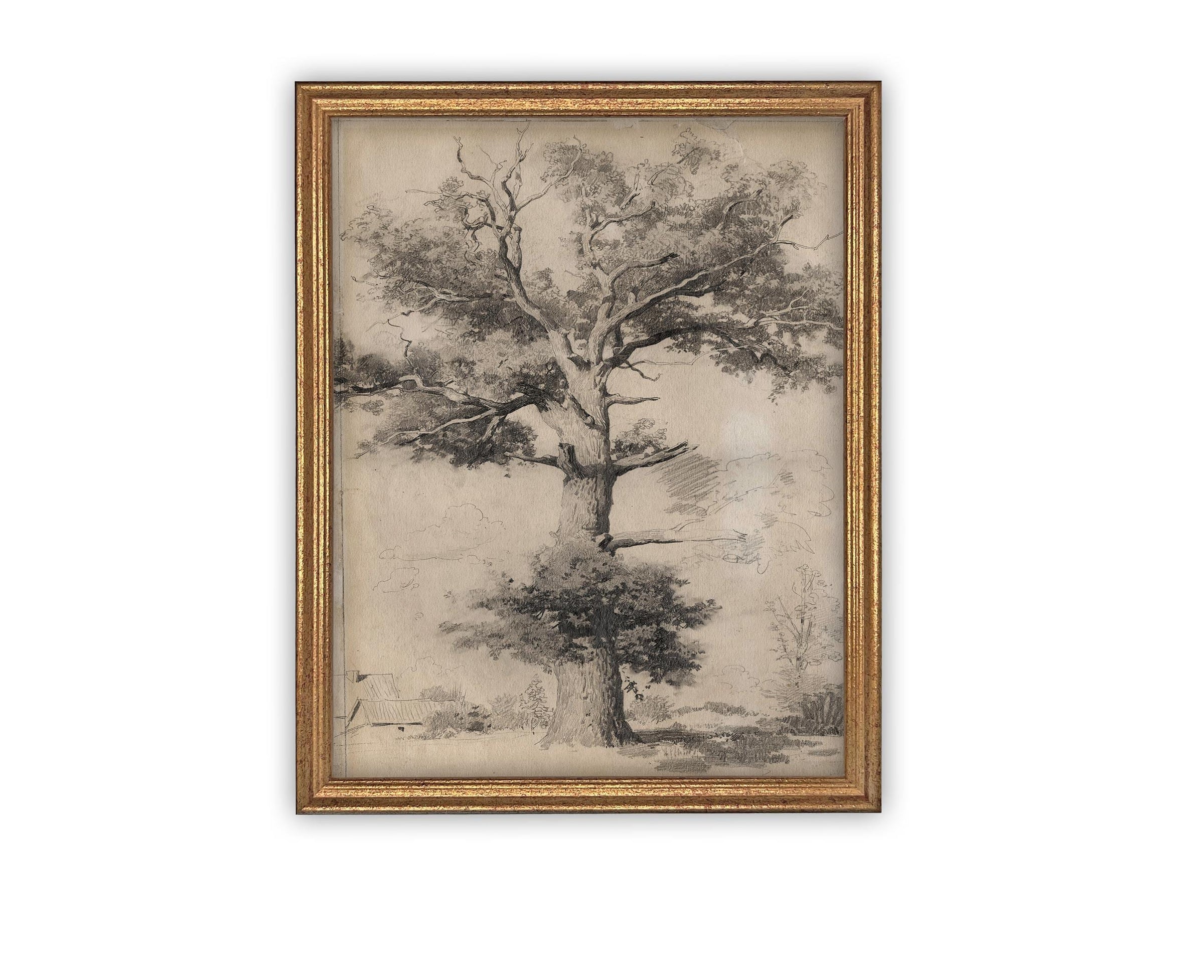 READY TO SHIP 11X14 Framed Canvas Print: Botanical Tree Sketch, Farmhouse Art
