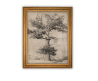 READY TO SHIP 11X14 Framed Canvas Print: Botanical Tree Sketch, Farmhouse Art