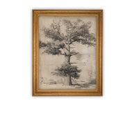 READY to SHIP 11X14 Vintage Framed Canvas Art #BOT-158