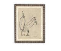 READY TO SHIP 8X10 Vintage Birds Sketch Framed Canvas Art: Nursery Print