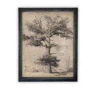 READY TO SHIP 11X14 Framed Canvas Print: Botanical Tree Sketch, Farmhouse Art