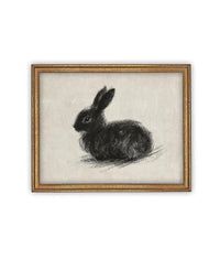 Vintage Framed Canvas Art // Framed Vintage Print // Vintage Black Bunny Rabbit Sketch // Easter Drawing // Farmhouse print //#A-188