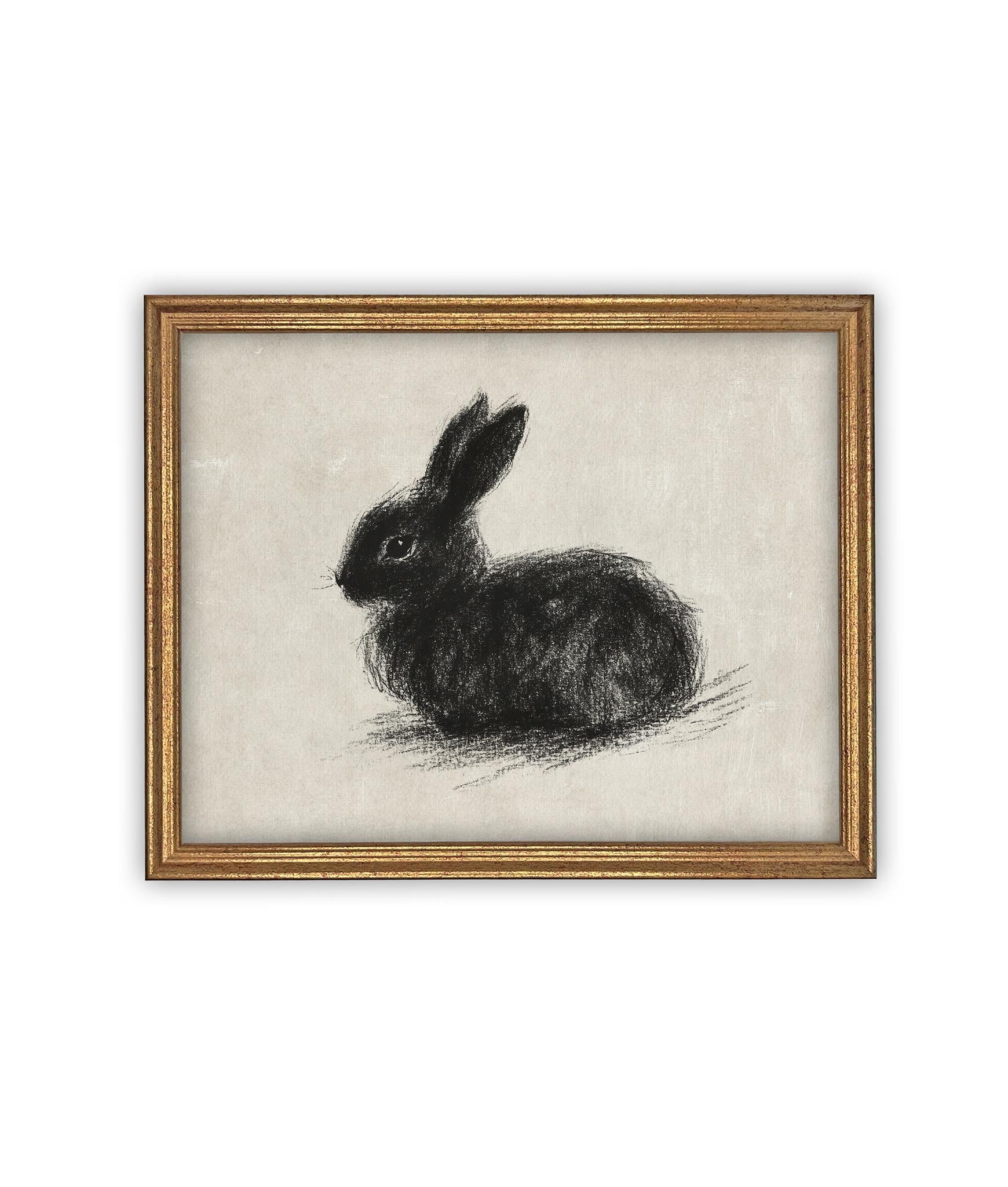 Vintage Framed Canvas Art // Framed Vintage Print // Vintage Black Bunny Rabbit Sketch // Easter Drawing // Farmhouse print //#A-188