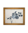Vintage Framed Canvas Art // Framed Vintage Floral Print // Vintage Apple Branch Painting // Still Life Botanical Cottage print //#BOT-163
