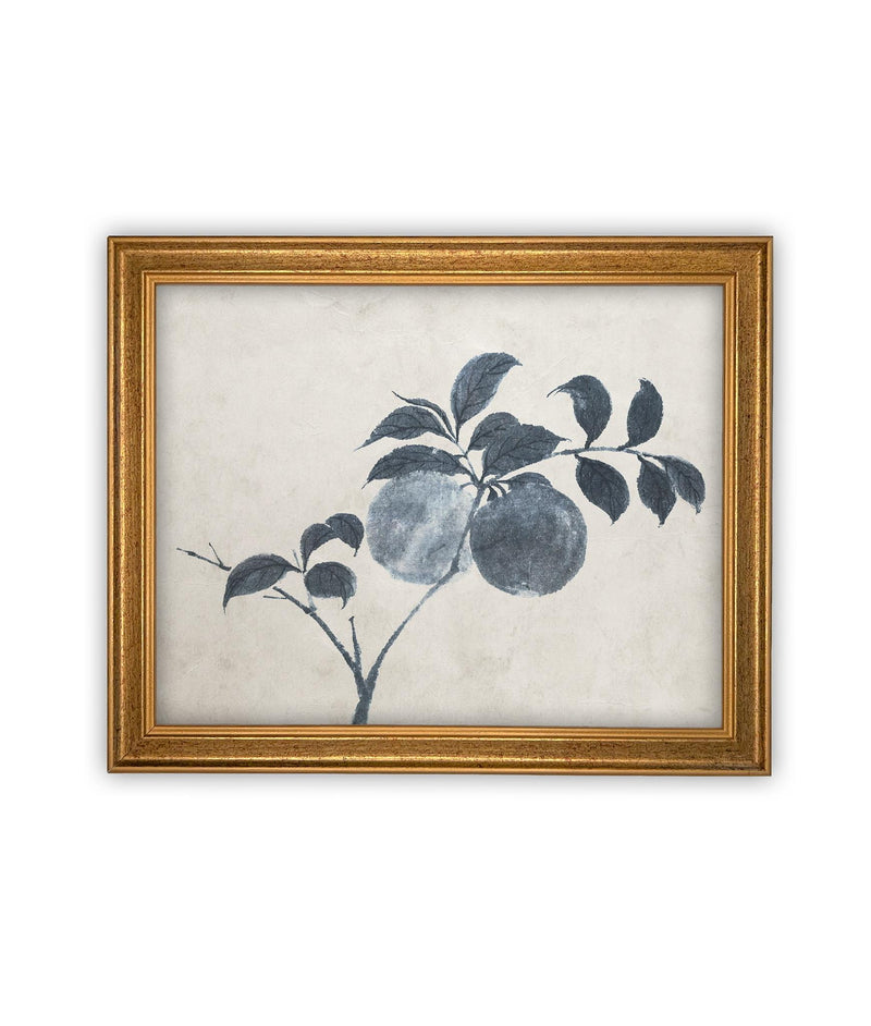 Vintage Framed Canvas Art // Framed Vintage Floral Print // Vintage Apple Branch Painting // Still Life Botanical Cottage print //#BOT-163