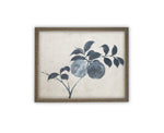 Vintage Framed Canvas Art // Framed Vintage Floral Print // Vintage Apple Branch Painting // Still Life Botanical Cottage print //#BOT-163