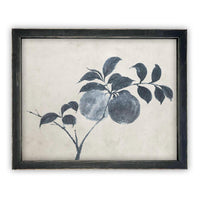 Vintage Framed Canvas Art // Framed Vintage Floral Print // Vintage Apple Branch Painting // Still Life Botanical Cottage print //#BOT-163