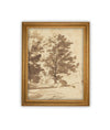 Vintage Framed Canvas Art // Framed Vintage Print // Vintage Painting // Botanical Sketch // Fall Tree//Farmhouse print //#BOT-167