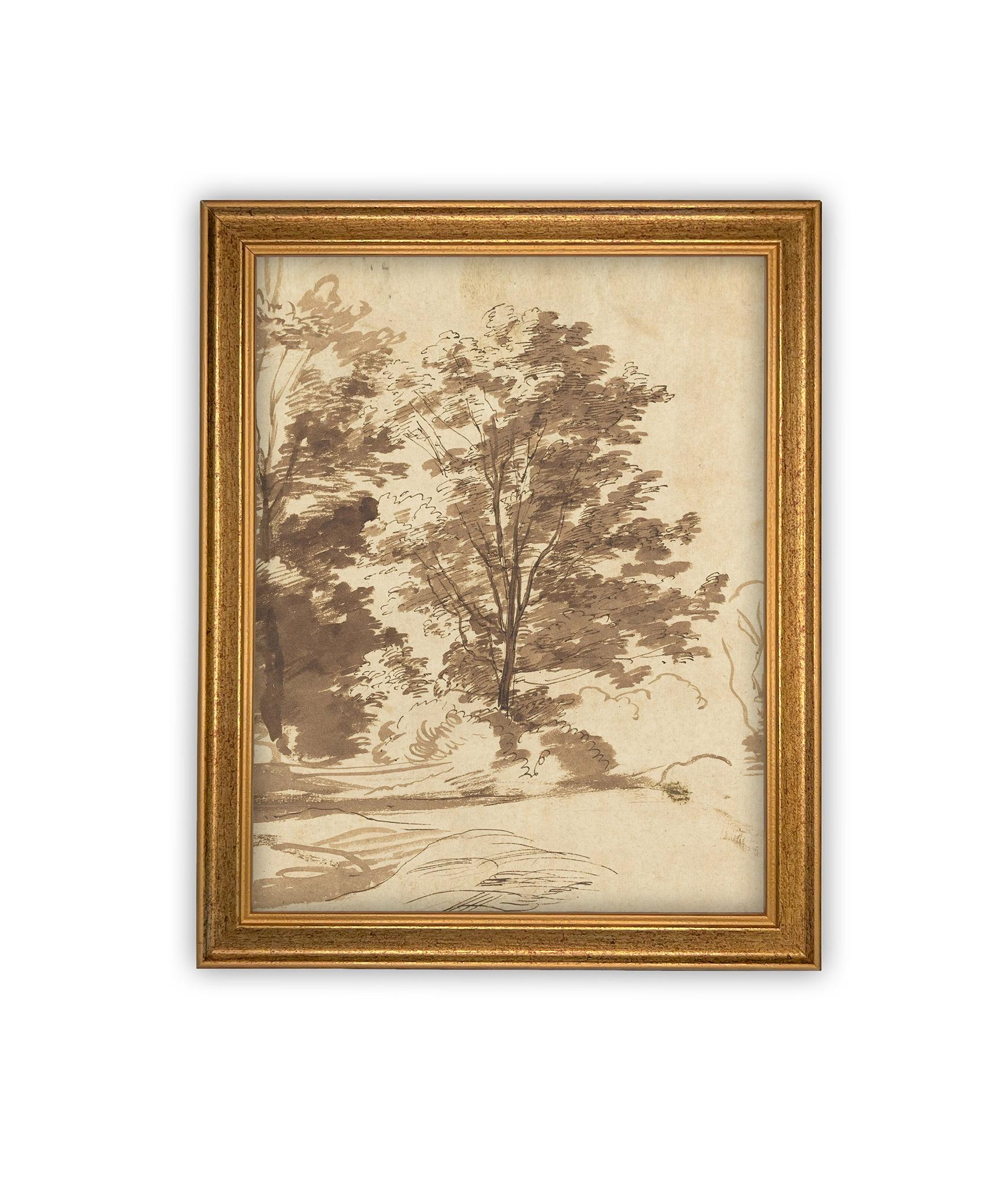 Vintage Framed Canvas Art // Framed Vintage Print // Vintage Painting // Botanical Sketch // Fall Tree//Farmhouse print //#BOT-167