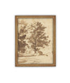 Vintage Framed Canvas Art // Framed Vintage Print // Vintage Painting // Botanical Sketch // Fall Tree//Farmhouse print //#BOT-167